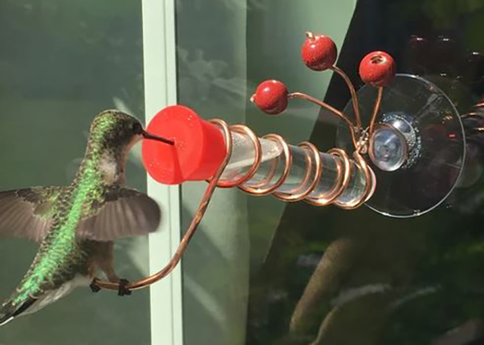 Window Hummingbird Feeders (2)