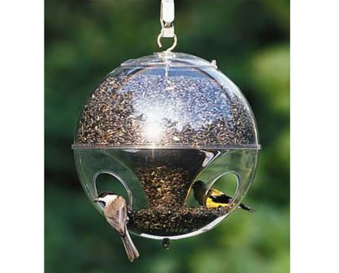 Peckish Small Bird Seed Feeder