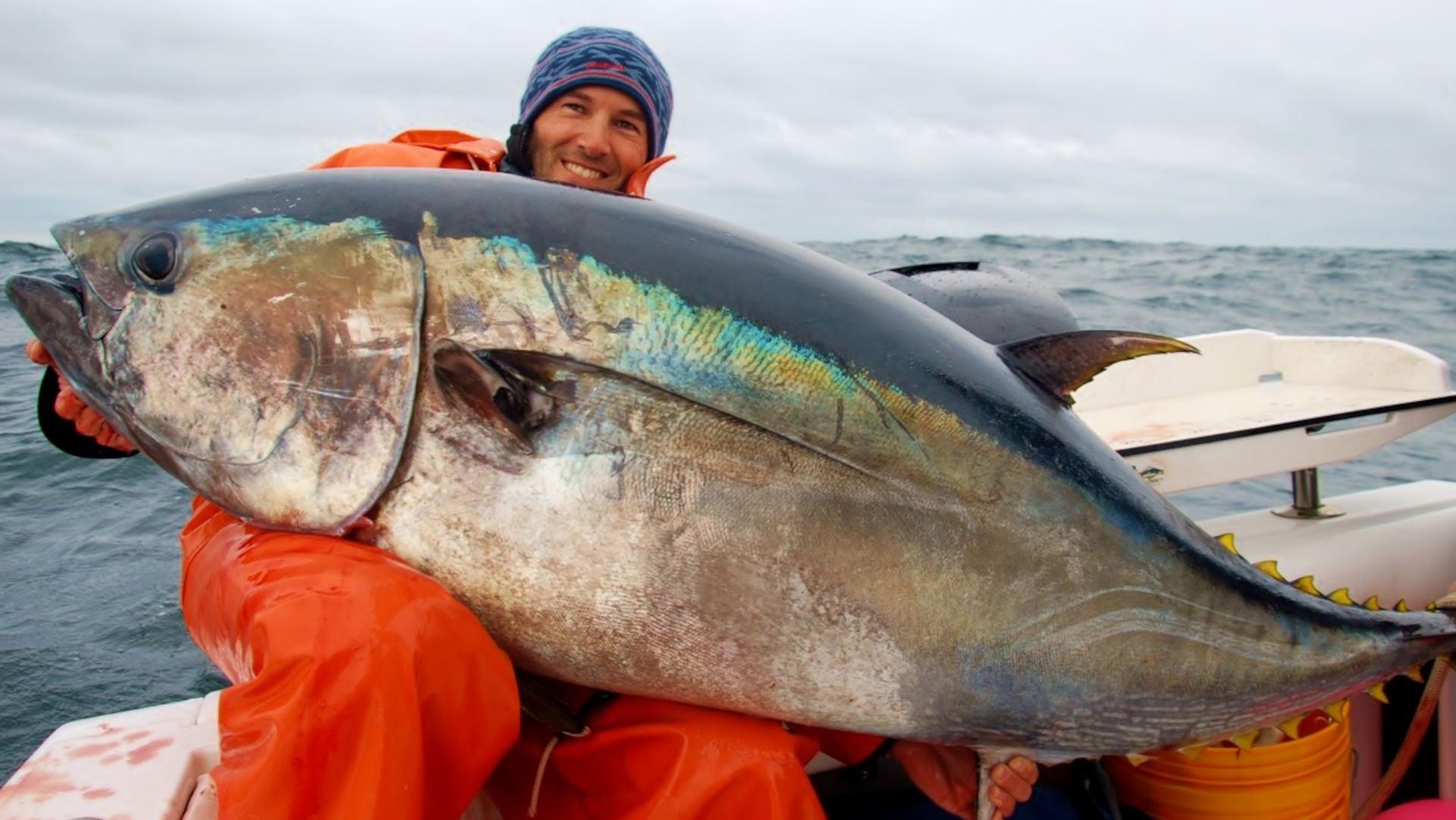 Book Review: In Bluefin Tuna, Fisheries Science Is Never Neat